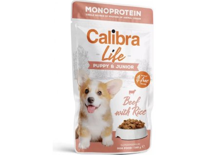 ca508809 a8a6 436e 93bc f2b65e76be00