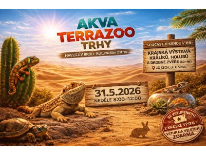 3dc57c05 541e 4ff4 a73d 2d8c2fd33e93