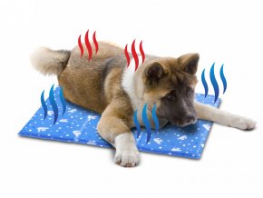 45892 jk animals cooling mat l 90 60 cm 05