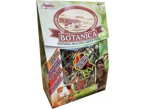 web botanica vegetable 02