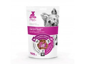 thepet dog city treat 100 g h L