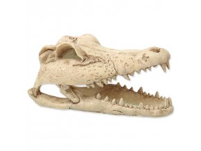 Dekorace REPTI PLANET Krokodýlí lebka 13,8 cm (1ks)