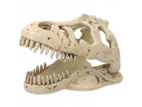 Dekorace REPTI PLANET T-REX lebka 13,3 cm (1ks)