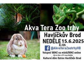 plakát fb