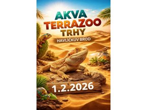 616827475 878508624784809 2995310757105461824 n