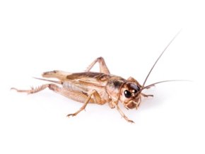 istock 000012244170xsmall