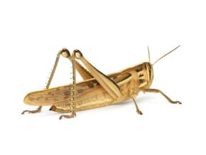 istock 000016620830xsmall