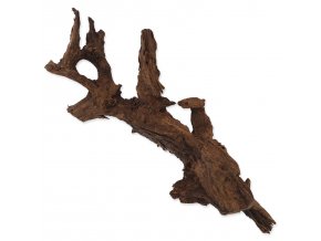 Kořen REPTI PLANET DriftWood Bulk XL (1ks)