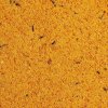eggfood web