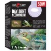 Žárovka REPTI PLANET Daylight Neodymium (50W)