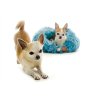 45719 2 pelech hatty s 50 cm pro mini a male psy modry 07
