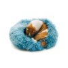 45719 2 pelech hatty s 50 cm pro mini a male psy modry 09