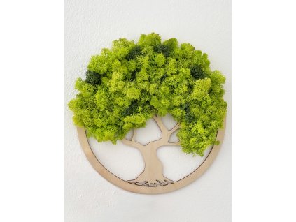 Machový obraz „Strom života“ zo stabilizovaného lišajníka