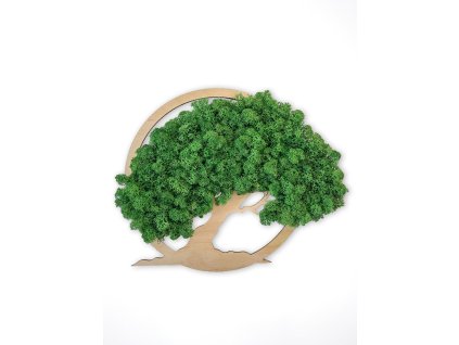 Machový obraz „Strom života“ zo stabilizovaného lišajníka