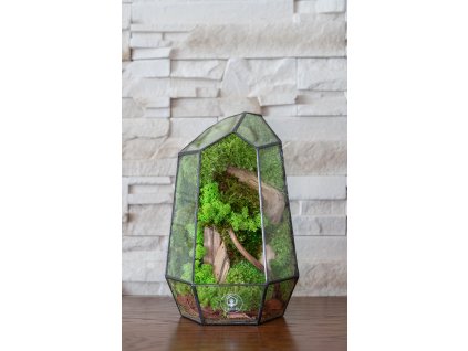 Bezúdržbové rastlinné terárium so stabilizovaným machom Crystal