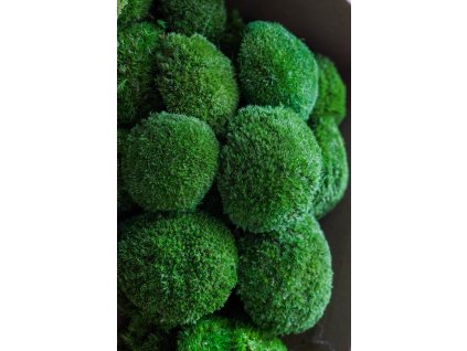 Stabilizovaný kopčekový (vankúšový) mach 200g