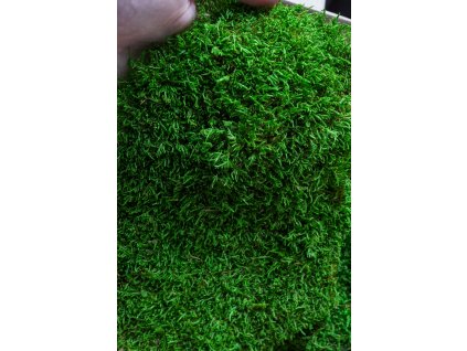 Stabilizovaný plochy mach 200g