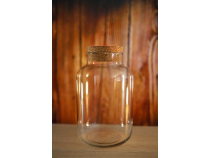 Sklenená nádoba pre rastlinné terárium 25 x 13 cm