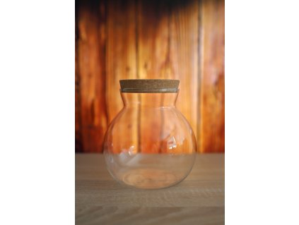 Sklenená nádoba pre rastlinné terárium 16,5 x 16 cm