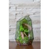 Bezúdržbové rastlinné terárium so stabilizovaným machom Crystal
