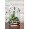 Rastlinné terárium Rubín s kaktusom