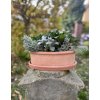 Terakotový květináč - Cassetta ovale bonsai 30