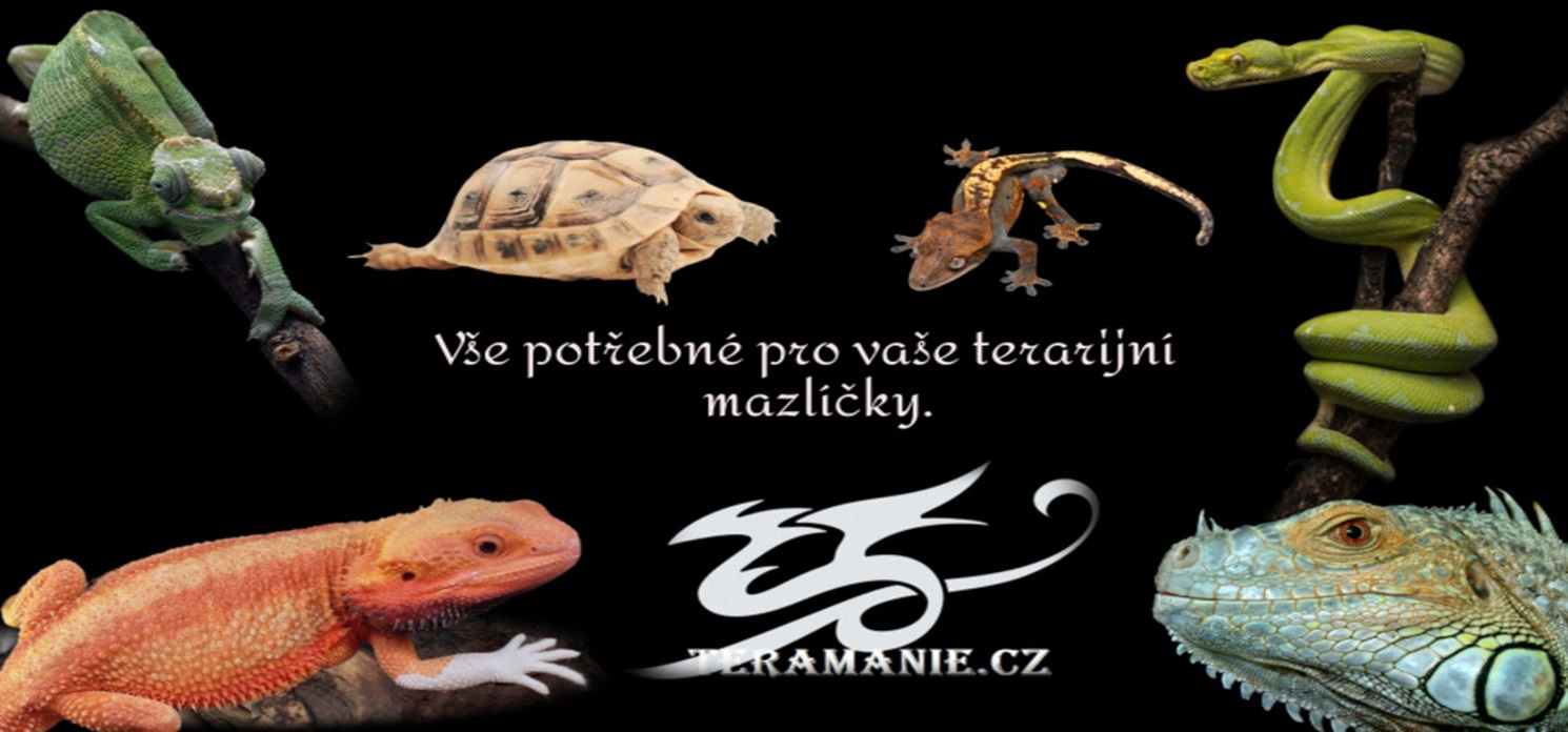 Vítáme Vás
