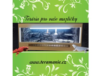Terarium ble s ernou patinou(1)