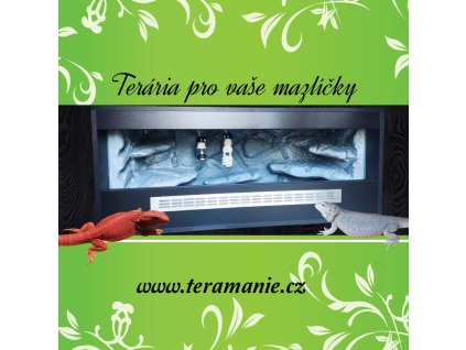 Terarium černé s šedým patina