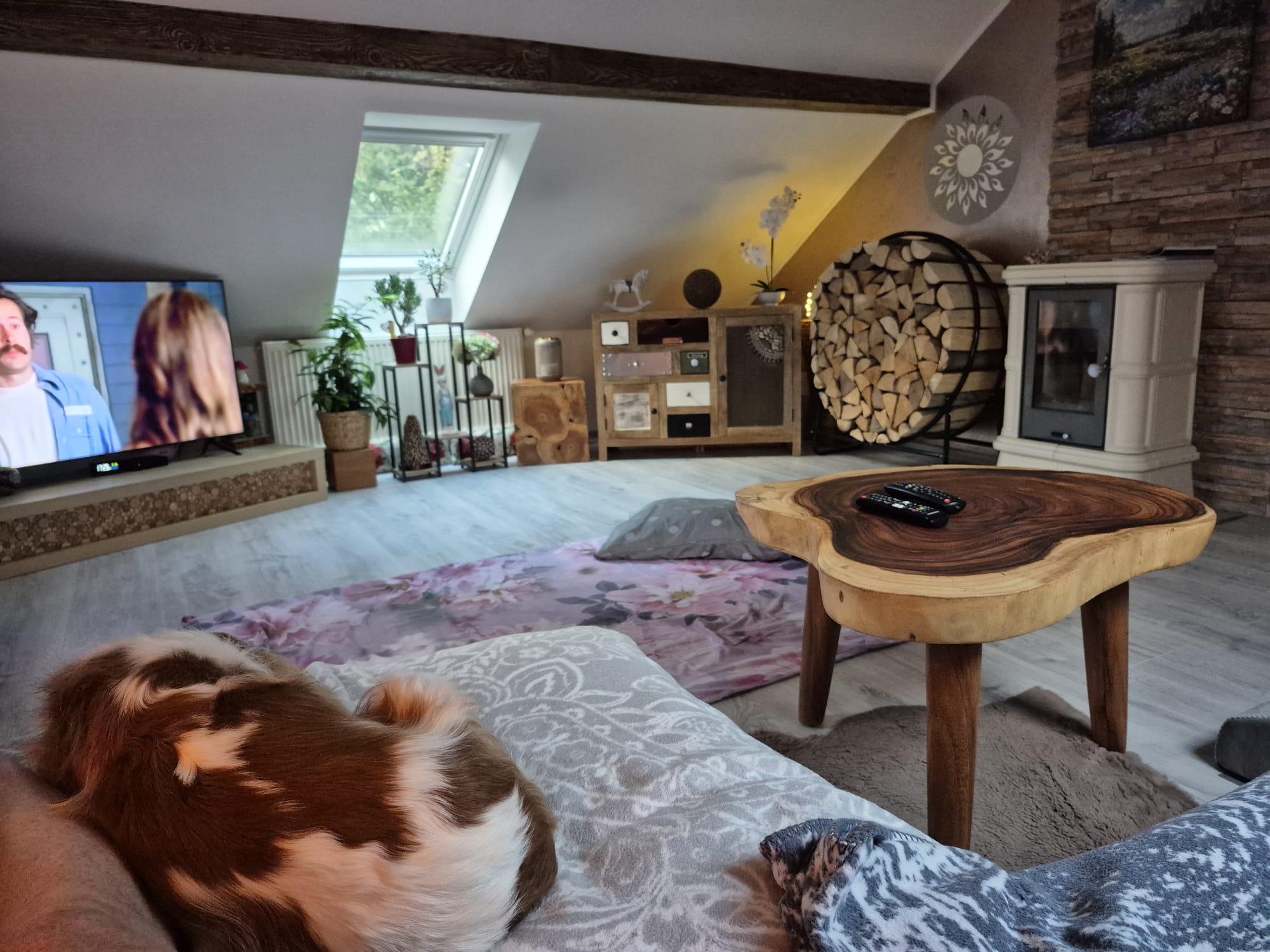 7c7defd3-77fb-478b-ad93-59ed45367add