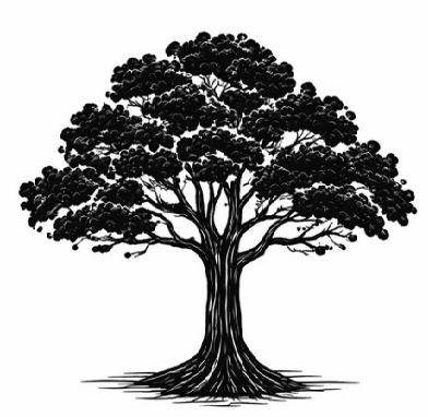 Teakový nábytek Terana Design