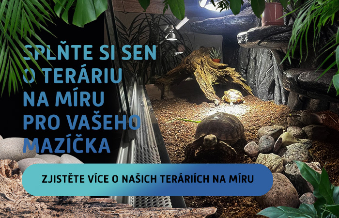 Kontaktujte nás a společně vytvoříme terárium, které splní veškeré potřeby vašeho plaza.