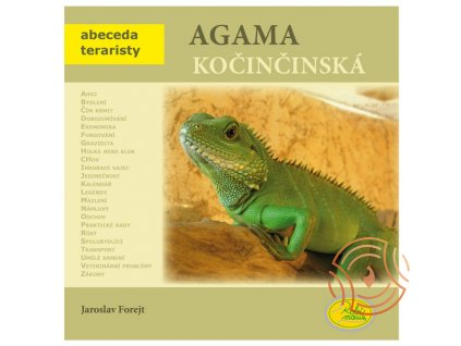 Agama kočinčinská