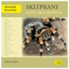 Sklípkani rodu Brachypelma