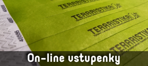 On-line vstupenky