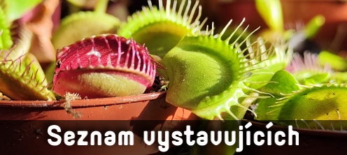 Seznam vystavujících