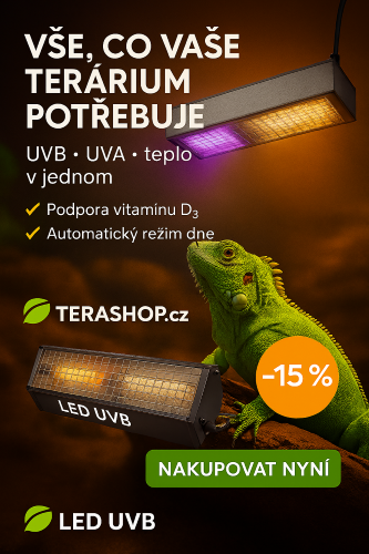 LED UVB