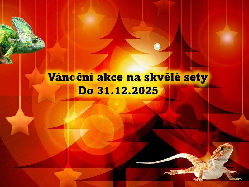 Vánoční akce 2025