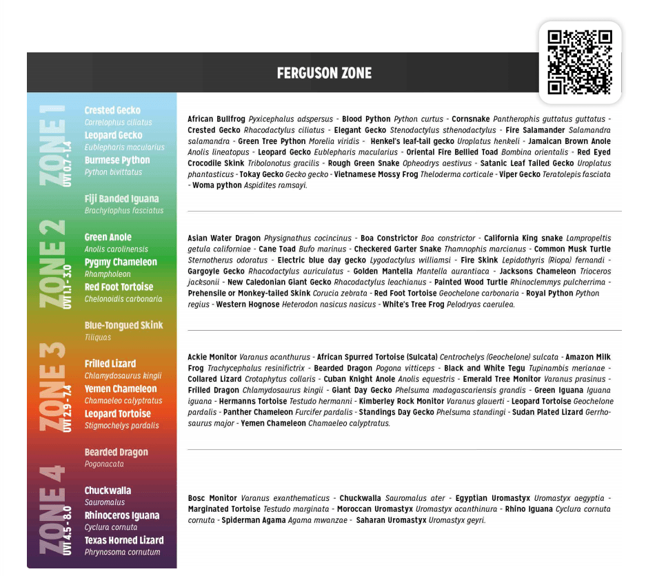 FERGUSON-ZONES-POSTER-1