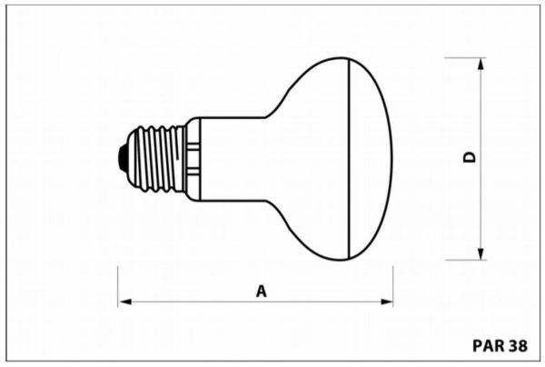 MR100W_par38-basking-600x404