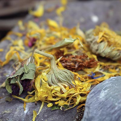 flowerboost-food-400