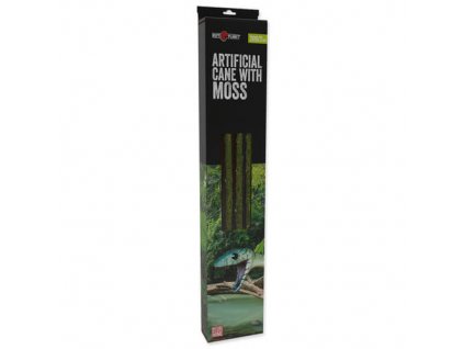 Repti Planet Liána s mechem délka 200cm šířka 2 cm