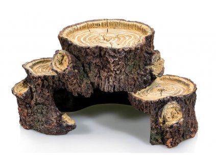 GiganTerra Plošina Pařezy L - dekorace do terária