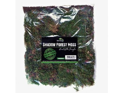 Terrario Shadow Forest Moss 35x30 cm