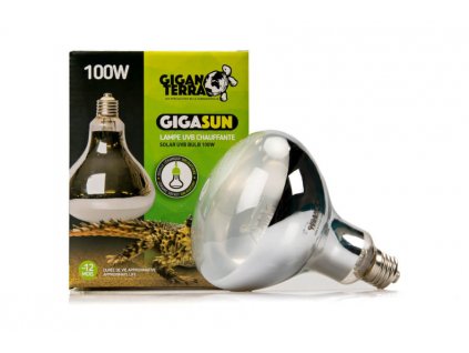 GiganTerra GIGASUN 100W (3)