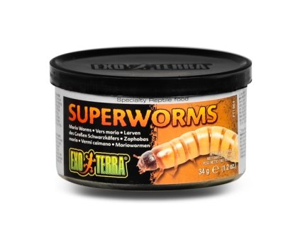 Exo Terra Superworms červi Zophobas 34g