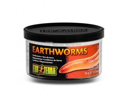 Exo Terra Earthworms žížaly 34g