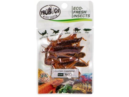 Pro Bugs Eco Fresh Saranče stěhovavá (1)