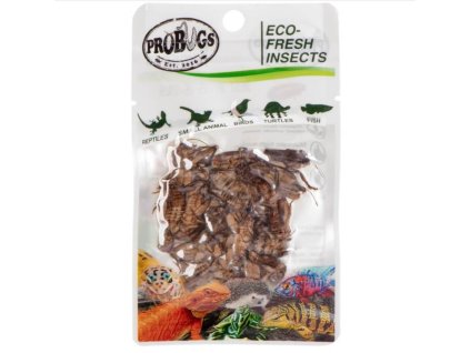 ProBugs Eco Fresh Cvrček domácí (2)