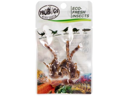 ProBugs Eco Fresh Škorpion (3)